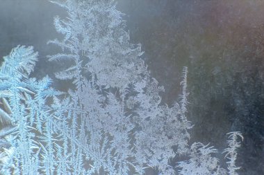 Hassas buz tabakası cam yüzeyini kaplayarak şafağın yumuşak ışığı altında parıldayan karmaşık desenler oluşturur. Kışın güzelliği serin sabahlarda doğanın sanatını ortaya çıkarır..