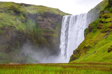 Seljalandsfoss şelalesi yeşil tepelerle çevrili uçurumların üzerinden dramatik bir şekilde akar ve İzlanda 'nın doğasını sergiler. 