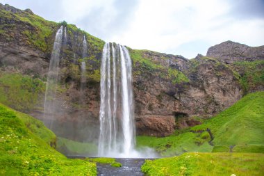 Seljalandsfoss şelalesi yeşil kayalıkların üzerinden dramatik bir şekilde akar ve havada sis yaratır..