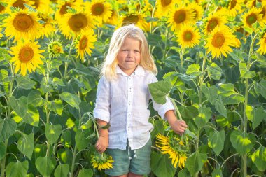 Küçük bir çocuk, ayçiçeği saplarını tutarken mutlu bir şekilde gülümseyerek uzun ayçiçeklerinin arasında duruyor. Güneş ışığı rengarenk araziyi aydınlatır ve bu kırsal alanda neşeli bir atmosfer yaratır..