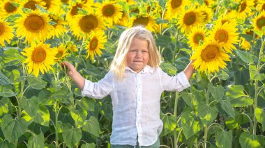 Neşeli bir çocuk, sıcak bir yaz gününde altın taç yapraklarıyla çevrili, parlak ayçiçeklerinin olduğu bir tarlada duruyor. Ufaklık her iki elinde de bir ayçiçeği tutuyor, saf neşe sergiliyor..