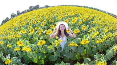 Neşeli genç bir kadın, güneşin tadını çıkaran, engin bir ayçiçeği tarlasının ortasında duruyor. Etrafındaki çiçeklere neşeyle dokunurken beyaz bir elbise ve geniş kenarlı bir şapka giyer..