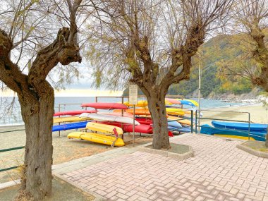 Sestri Levante, Italy - January 02, 2025. Beach and trees of Liguria near sea. Nature of Mediterranean Sea in winter. Background for design. . High quality photo clipart