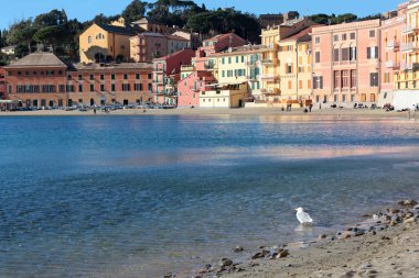 Sestri Levante, Italy - January 17, 2025. View from rock on sea, Bay of Silence, fishing cove, Italy. Tourism and recreation. Ecologically clean nature. Traditional old buildings. Historical center. High quality photo clipart