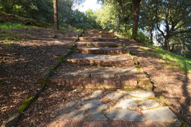 Ağaçların arasında tepeye çıkan eski tuğla adımlar. Antik park. İtalya 'da geleneksel binalar, Liguria. Yüksek kalite fotoğraf