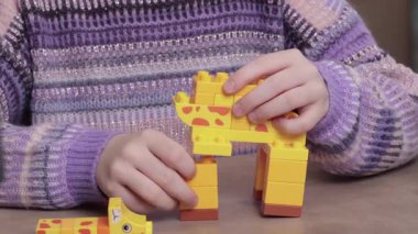 Kız evde, masada inşaatçıyla oynuyor. Afrika hayvanları. Çocuklar ve eğitici oyunlar. Yüksek kalite 4k görüntü