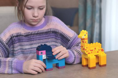 Kız evde, masada inşaatçıyla oynuyor. Afrika hayvanları. Çocuklar ve eğitici oyunlar. Yüksek kalite fotoğraf