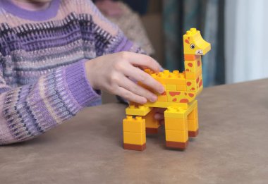 Kız evde, masada inşaatçıyla oynuyor. Afrika hayvanları. Çocuklar ve eğitici oyunlar. Yüksek kalite fotoğraf