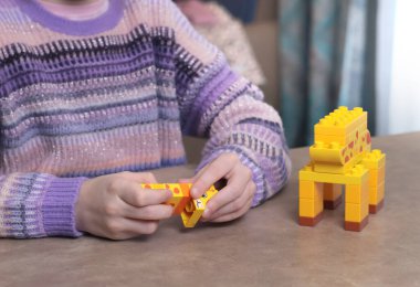 Kız evde, masada inşaatçıyla oynuyor. Afrika hayvanları. Çocuklar ve eğitici oyunlar. Yüksek kalite fotoğraf