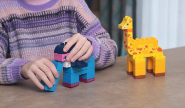 Kız evde, masada inşaatçıyla oynuyor. Afrika hayvanları. Çocuklar ve eğitici oyunlar. Yüksek kalite fotoğraf