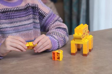 Kız evde, masada inşaatçıyla oynuyor. Afrika hayvanları. Çocuklar ve eğitici oyunlar. Yüksek kalite fotoğraf