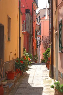 Liguria 'da ev ve sokak, Porto Venere. Güneşli bir günde şehir binaları. Seyahat, İtalya gezileri ve tatiller. Yüksek kalite fotoğraf