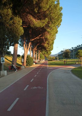İtalya 'nın Liguria kentindeki çam ağaçlarının arasında parktaki bisiklet yolu. Turizm ve eğlence sektörü. Spor ve sağlık. Yazın gün batımı. - Evet. Yüksek kalite fotoğraf