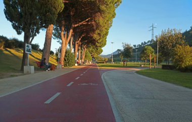 İtalya 'nın Liguria kentindeki çam ağaçlarının arasında parktaki bisiklet yolu. Turizm ve eğlence sektörü. Spor ve sağlık. Yazın gün batımı. - Evet. Yüksek kalite fotoğraf