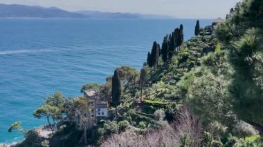 Portofino, İtalya 'da çam ağaçları ve dağ manzaralı geleneksel evler. Güneşli bir günde Sea Cove 'da. Turizm ve eğlence sektörü. Tasarım için arka plan. Yüksek kalite 4k görüntü
