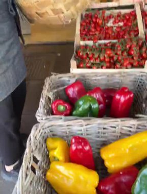 Çiftçi müşteri için hasır sepetten biber alır. Avrupa, İtalya 'da pazarda domatesler. Organik yerel gıda ve sağlık. Yüksek kaliteli FullHD görüntüler