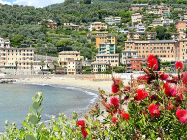 Recco, İtalya 'nın deniz kenarı. Deniz ve doğa, baharda çiçekler, Liguria şehrinde geleneksel binalar. Manzara ve turizm. Yüksek kalite fotoğraf