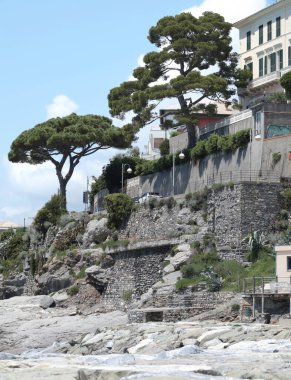 Deniz kıyısında çam ağaçları ve taş bina. Avrupa ve İtalya 'nın doğası ve yapıları. Güneşli bir gün. Yüksek kalite fotoğraf