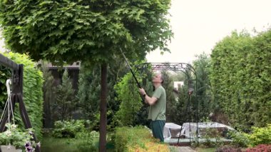Adam akçaağaç bahçesindeki dalları buduyor. Bahçıvanlık, aletler ve yaşam tarzı. Bahçe düzenleme, yeşil eskrim. Yüksek kalite 4k görüntü