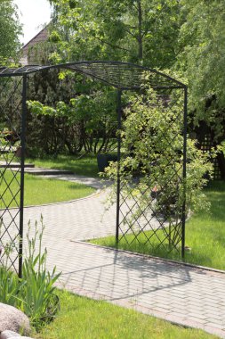 Demir kemer, parktaki çiçeklere destek, arka bahçe. Yazın doğa ve bitkiler. Beton döşeme yolu. - Evet. Yüksek kalite fotoğraf