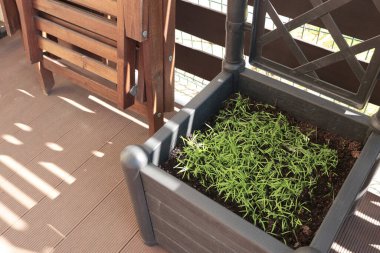 Yazın güneşli bir günde modern tencereler, yataklar, ahşap bahçe mobilyaları. Dinlenme ve tatil. Evin arka bahçesinin tasarımı. Yüksek kalite fotoğraf