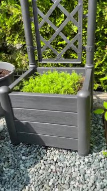 Modern esrar, yatak, yazın güneşli bir günde bahçe mobilyası. Yiyecek ve sağlıklı yaşam. Arka bahçedeki evin tasarımı. Yüksek kalite 4k görüntü