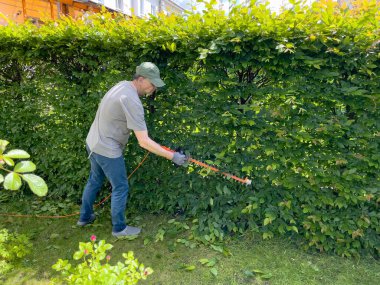 Çalıları elektrikli çit budayıcı ve testere ile buduyor. Bahçıvanlık ve temizlik. Doğa ve bahçe bakımı. Yüksek kalite fotoğraf