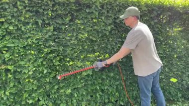 Çalıları elektrikli çit budayıcı ve testere ile buduyor. Bahçıvanlık ve temizlik. Doğa ve bahçe bakımı. Yüksek kalite 4k görüntü