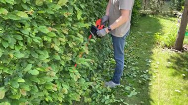 Çalıları elektrikli çit budayıcı ve testere ile buduyor. Bahçıvanlık ve temizlik. Doğa ve bahçe bakımı. Yüksek kalite 4k görüntü