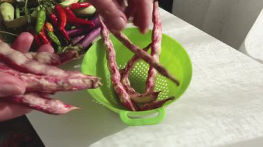 Kadın kevgire pembe fasulye kabukları yerleştiriyor. Sağlıklı yiyecek ve sebzeler. Organik mevsimlik tarım ürünleri. Yüksek kalite 4k görüntü
