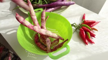 Kadın kevgire pembe fasulye kabuğu koymuş. Sağlıklı yiyecek ve sebzeler. Organik mevsimlik tarım ürünleri. Yüksek kalite 4k görüntü