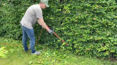 Çalıları elektrikli çit budayıcı ve testere ile buduyor. Bahçıvanlık ve temizlik. Doğa ve bahçe bakımı. Yüksek kalite 4k görüntü