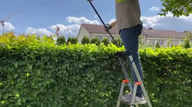 Elektrikli çit biçme makinesiyle budadıktan sonra çalılardan ve çitlerden yapraklar toplayan bir adam. Bahçıvanlık ve temizlik. Doğa ve bahçe bakımı. Yüksek kalite 4k görüntü