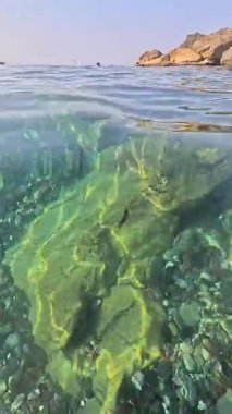 Akdeniz 'in turkuaz sularındaki hayvanlar, balıklar, deniz canlıları. Eğlence ve spor, tüplü dalış. Ekoloji ve doğa. Ligurian Denizi, İtalya. Yüksek kalite 4k görüntü