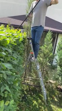 Elektrikli çit biçme makinesiyle budadıktan sonra çalılardan ve çitlerden yapraklar toplayan bir adam. Bahçıvanlık ve temizlik. Doğa ve bahçe bakımı. Yüksek kalite 4k görüntü