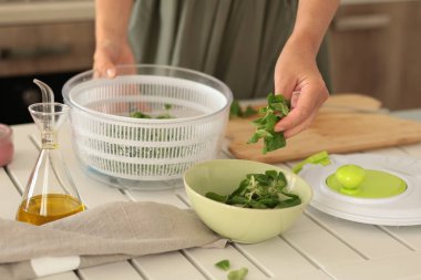 Kurutucudaki kurutulmuş kediotu yapraklarını kaseye koyan kadın. Sağlıklı beslenme ve yiyecekler. Akdeniz diyeti. - Evet. Yüksek kalite fotoğraf
