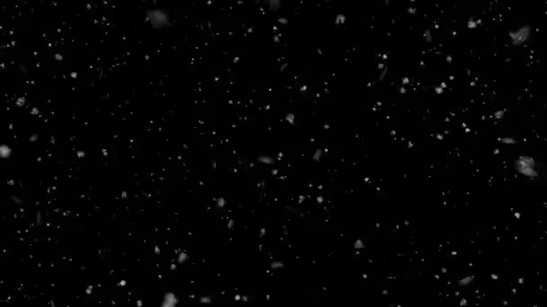 Χιόνι Πέφτει Άλφα Looped — Αρχείο Βίντεο