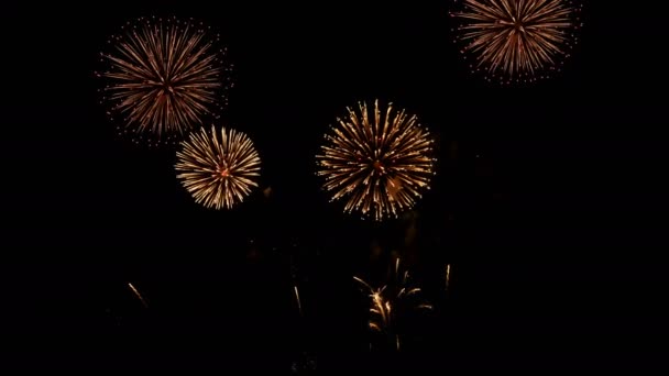 Brilhante Fogos Artifício Luzes Contagem Regressiva Celebração Fundo — Vídeo de Stock