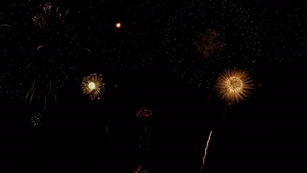 真のカラフルな花火新年は夜に祝う — ストック動画