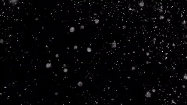 Zware Sneeuwval Achtergrond Met Alfa Transparantie Animatie Lus — Stockvideo