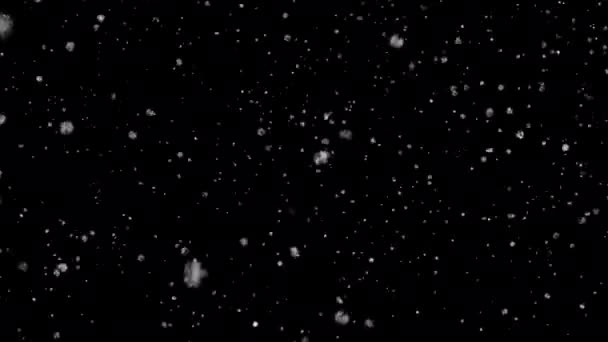 Sníh Padající Zimě Alfa Animace Pozadí Smyčka — Stock video