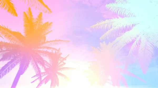 1980Er Retro Hintergrund Mit Tropischer Sommerpalme Und Sonnenlicht — Stockfoto