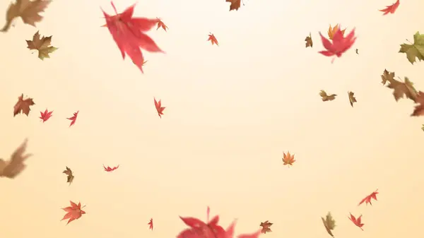 Podzimní Javorové Listy Padající Žluté Pozadí — Stock fotografie