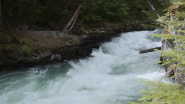 Whistler Kanada 'daki Cheakamus Nehri doğa arka planı üzerine