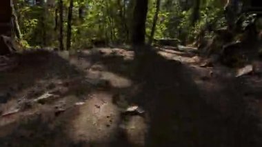 Kamera Düşük Ayakları Takip Eden Orman Yolu