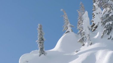 Taşra Snowboardcusu El değmemiş Kar Yastıklarında Hava Yakalıyor. Mavi Gökyüzü Arkaplanında Profesyonel Tarzı Olan Ekstrem Spor Atleti