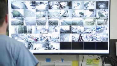 Esrar Deposunun Yönetimi Yasal Marihuana Büyütmesi