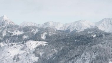 Şelale Dağları 'nın Hızlı Teknesi' nden Kış Tatil Köyü 'ne. Washington 'da kayak ve kar kayağı geçmişi