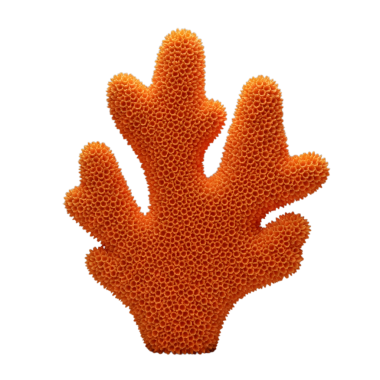 Turuncu mercan minimalist 3D yumuşak ve pürüzsüz bir rendeleme