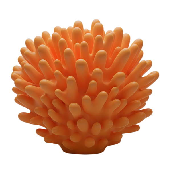 Turuncu mercan minimalist 3D yumuşak ve pürüzsüz bir rendeleme